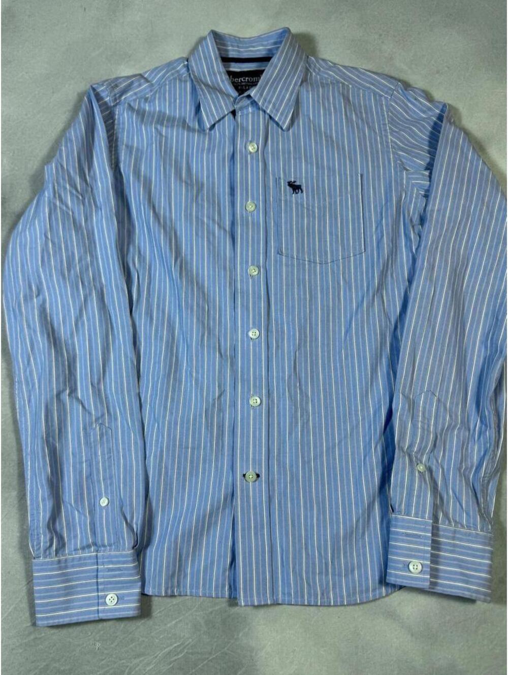 Vintage 2000s Abercrombie & Fitch Shirt Men’s XL Blue Striped,retired Moose Logo